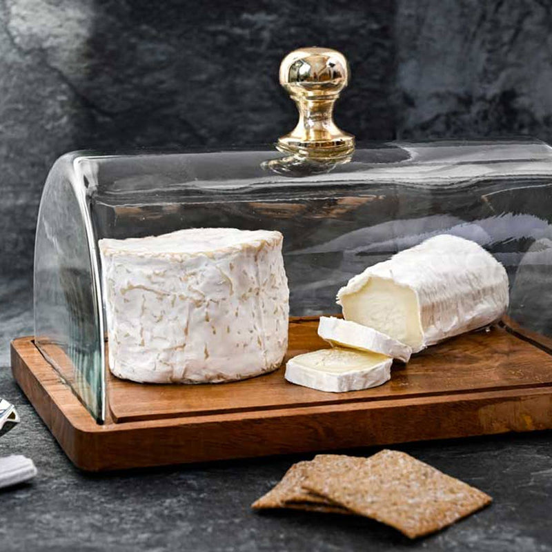 Dome Cloche Rectangle