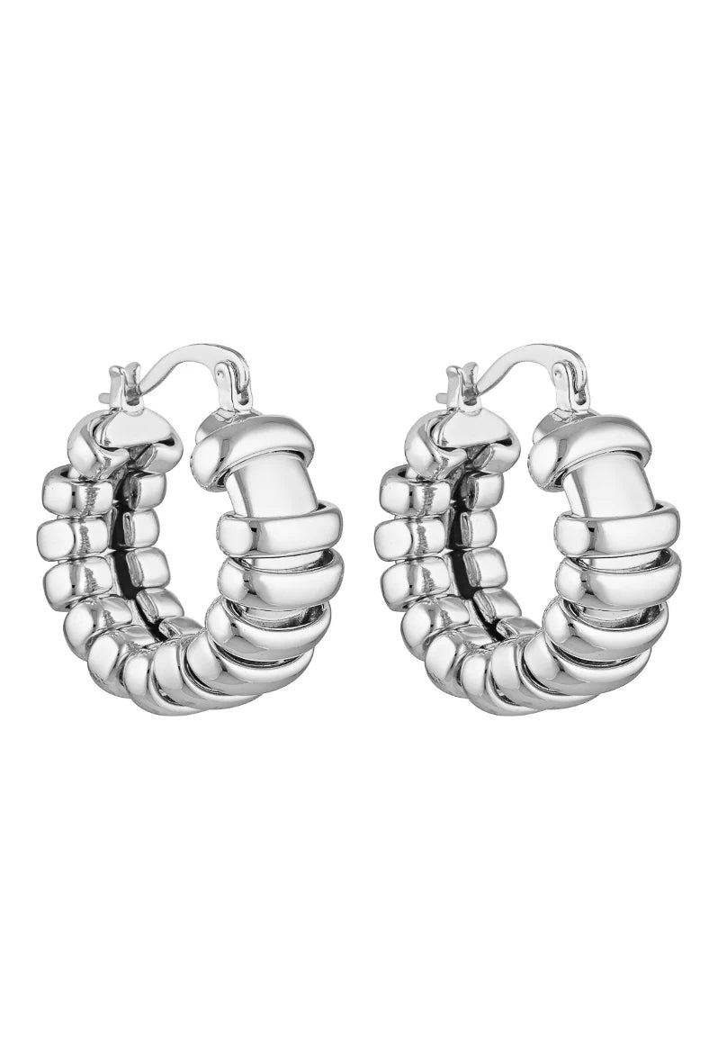 Turtle hoops- silver